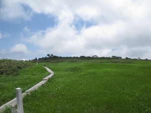 田代岳県立自然公園（散策）