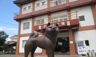 秋田犬会館（あきたいぬかいかん）