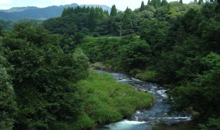 岩瀬川渓流（いわせがわけいりゅう）