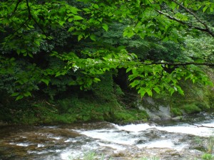 フィッシングエリア（雪沢）