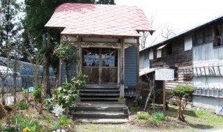 ニシキドジンジャ