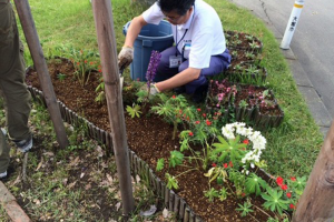 駅前広場の花壇装飾