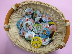 新商品★秋田犬缶バッジ