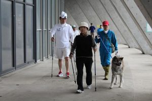 チャレンジデー