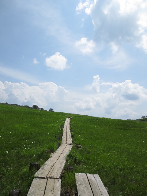 田代岳の半夏生登山に向けて